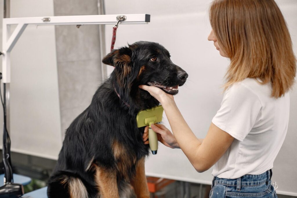 dog grooming