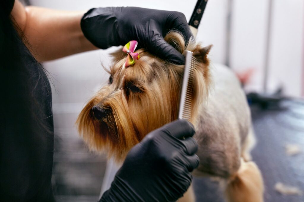 Grooming