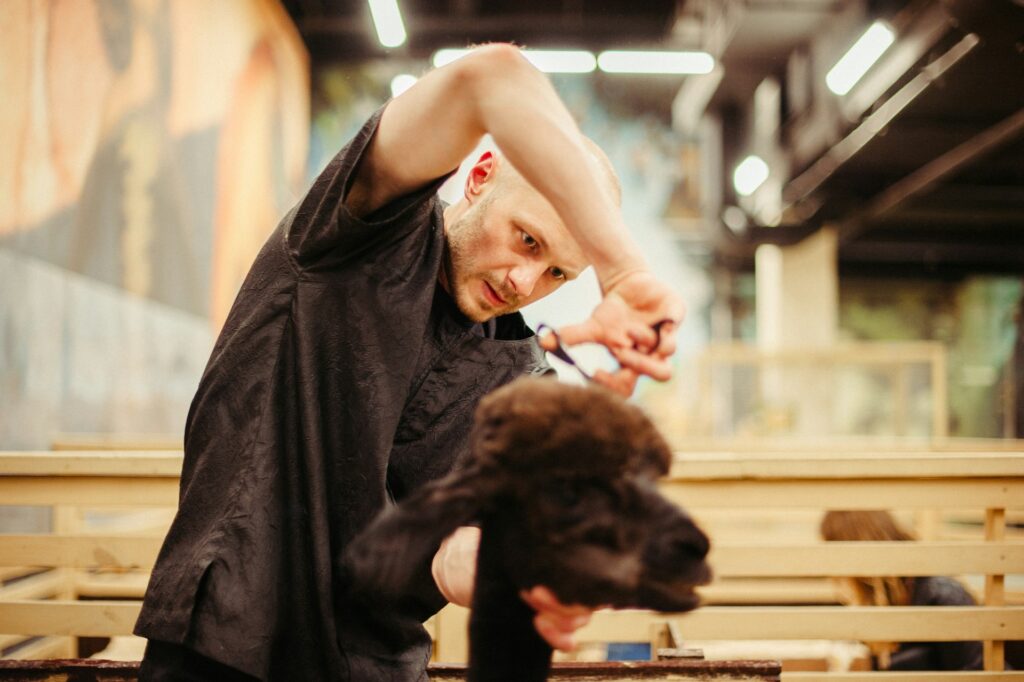 grooming