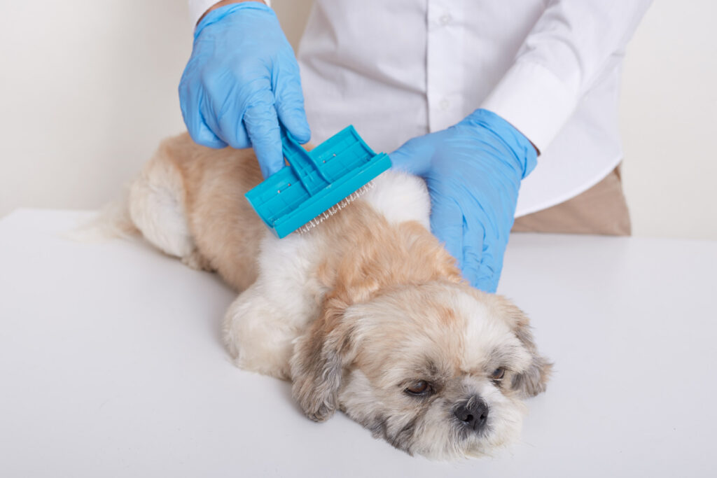 dog deshedding