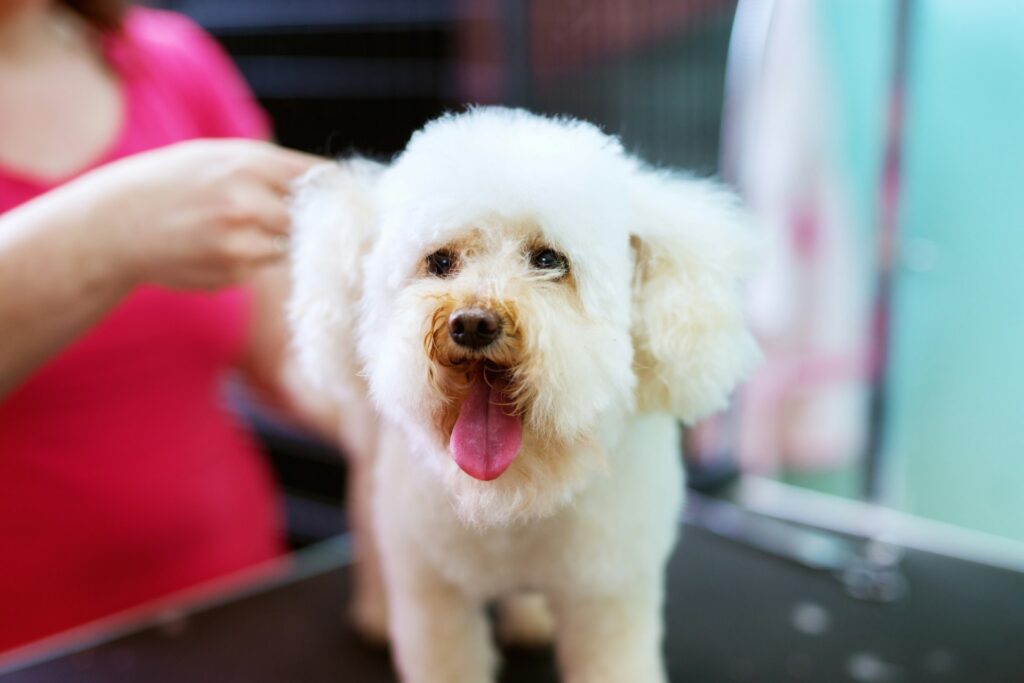 Personalized Grooming